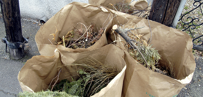 distrib sacs déchets verts