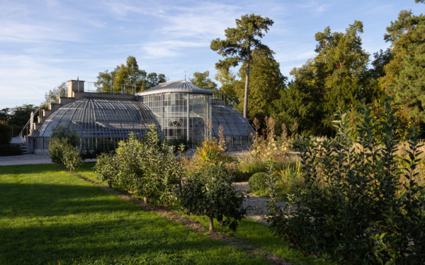 Exposition : « Arcade » de Valentin Guillon