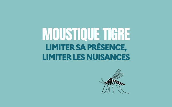 Comment lutter contre le moustique tigre ?