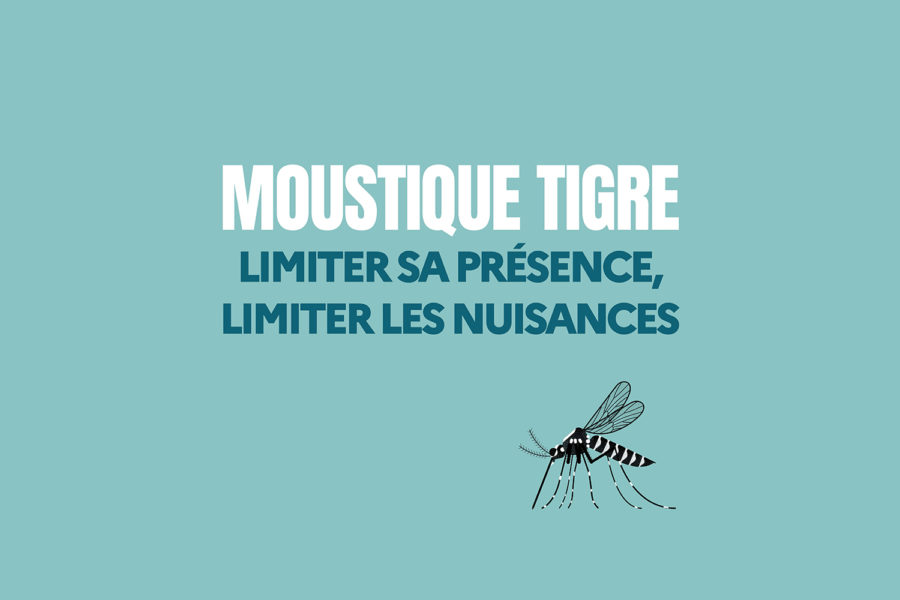 Comment lutter contre le moustique tigre ?