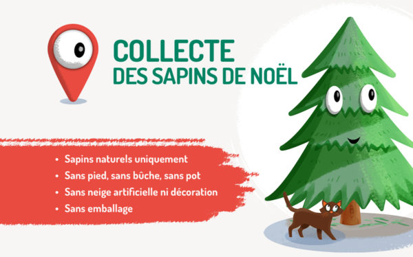 Que faire de son sapin après les fêtes ?
