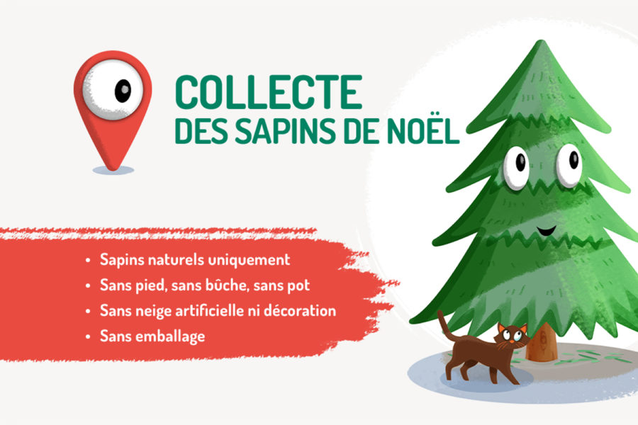 Que faire de son sapin après les fêtes ?