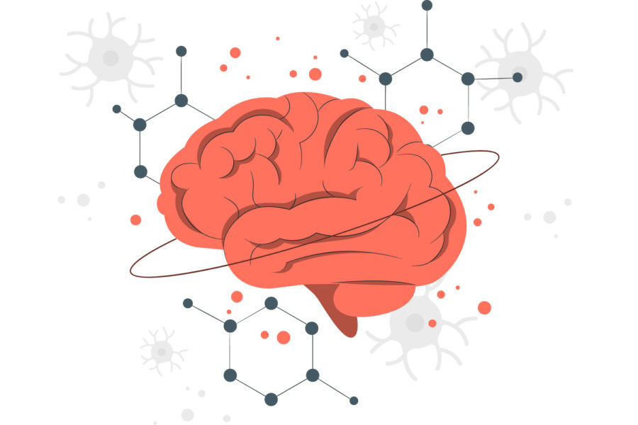 Neurosciences : conférence d’Albert Moukheiber