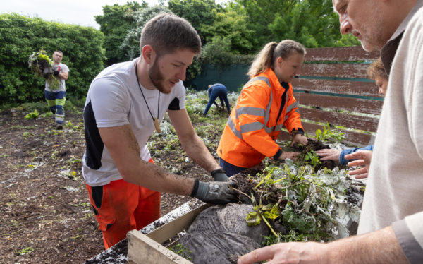 Distribution de plantes de la Ville