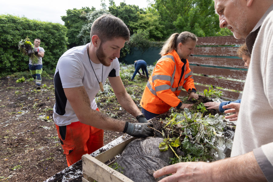 Distribution de plantes de la Ville