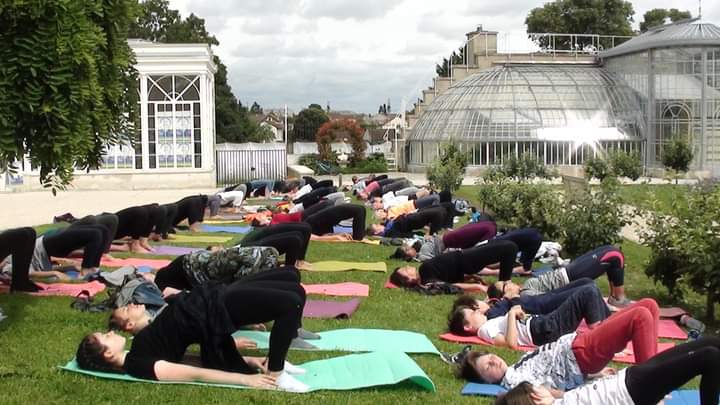 Journée mondiale du Yoga