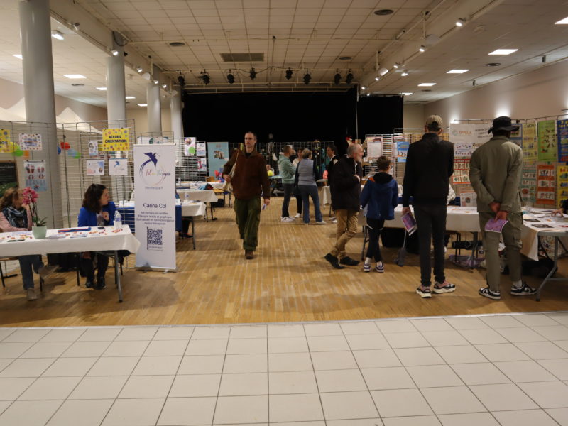 Semaines d’information sur la santé mentale : candidatez !