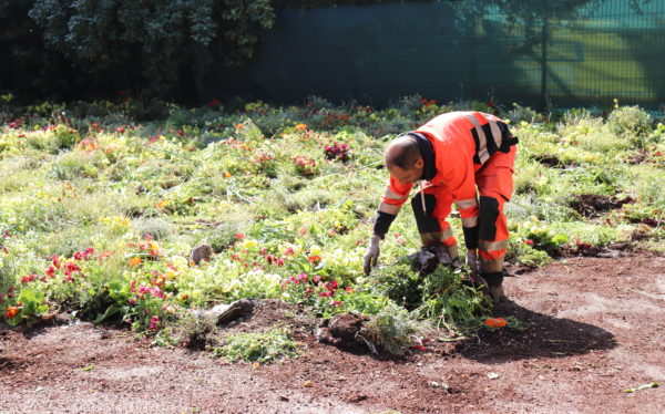 La Ville vous offre des fleurs