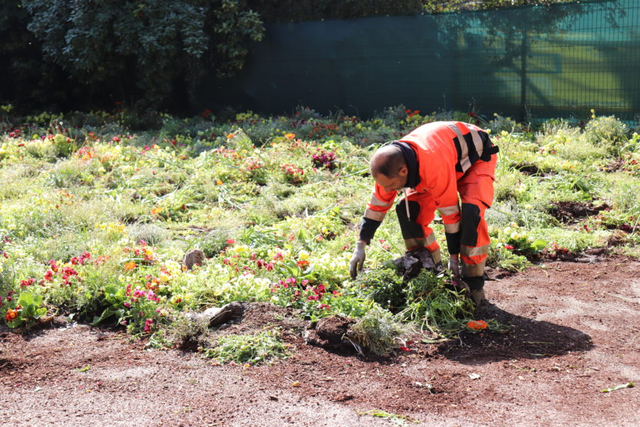 La Ville vous offre des fleurs