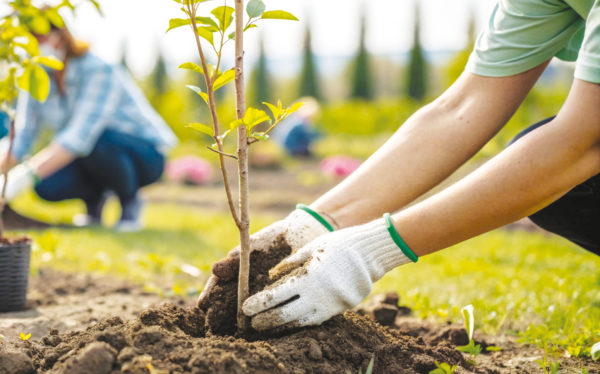 Conflans se végétalise avec vous