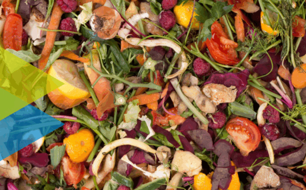 Expérimentation – collecte des déchets alimentaires