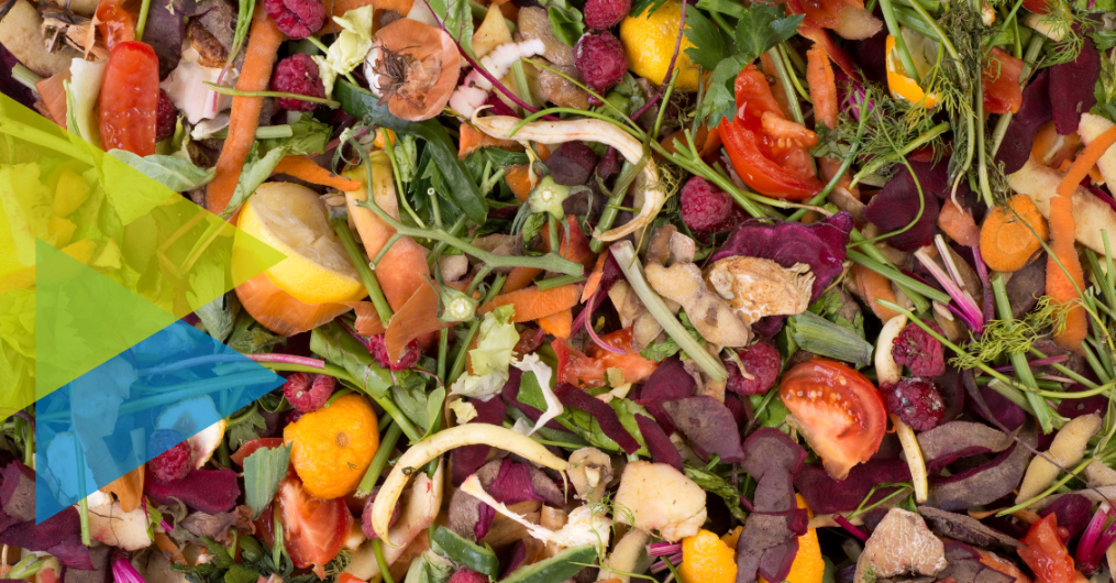 Expérimentation – collecte des déchets alimentaires