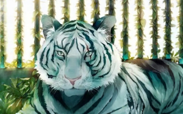 Stage enfants – Mangas et animaux