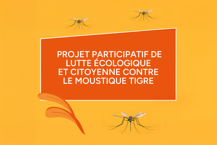 Budget Participatif #2 : la lauréate connue !