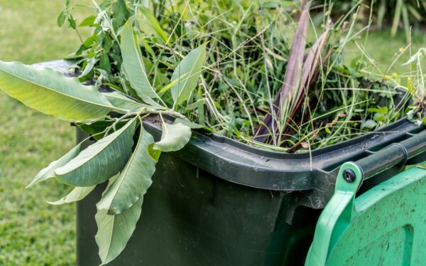 La collecte des végétaux reprend !