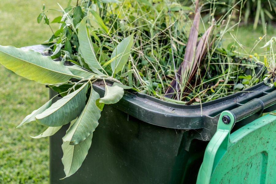 La collecte des végétaux reprend !