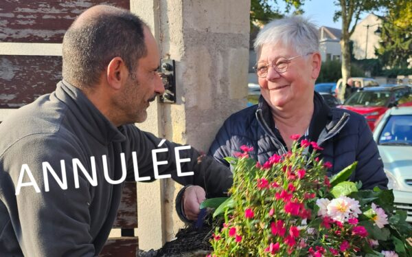 Distribution de fleurs par la Ville – ANNULÉE