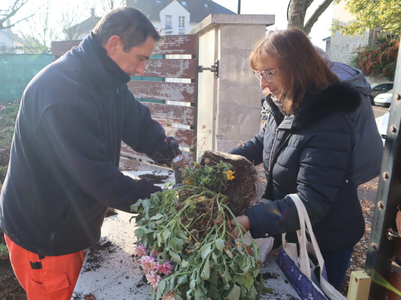La Ville vous offre des fleurs